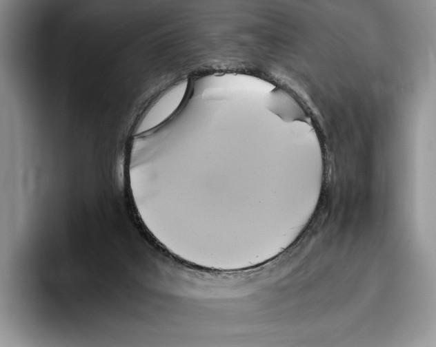 X0000096220019200802151531