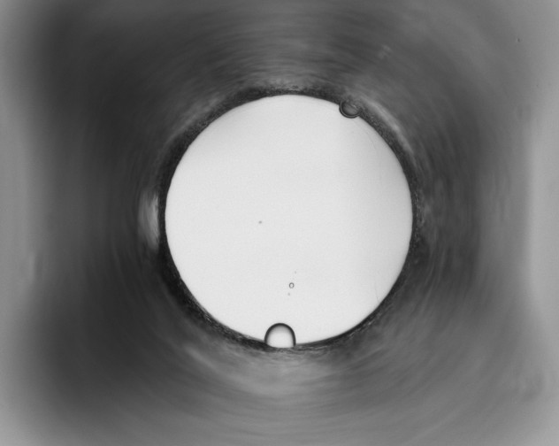 X0000096220020200802151531