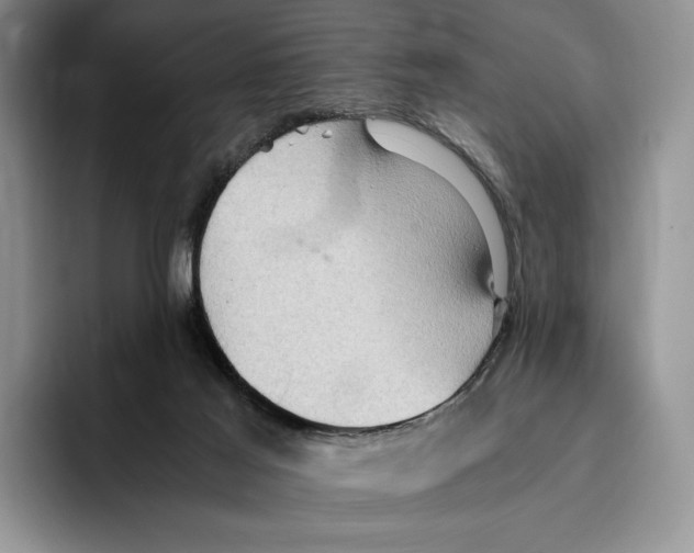 X0000096220021200802151531