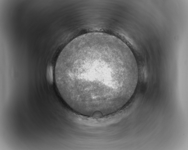 X0000096220022200802151531