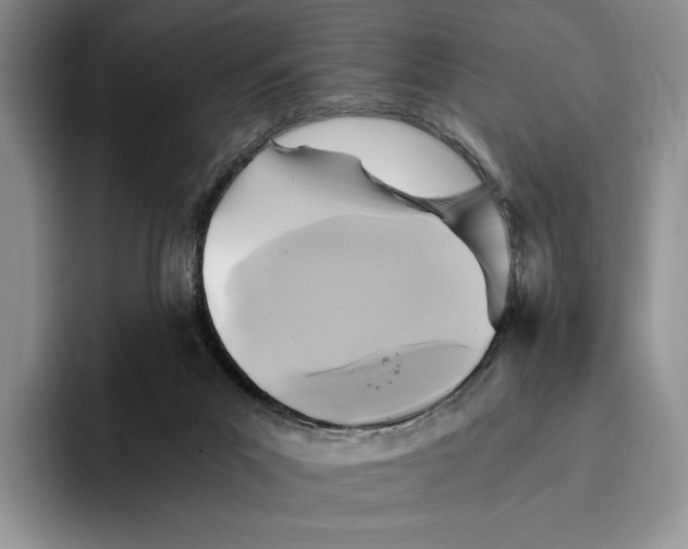 X0000096220023200802151531