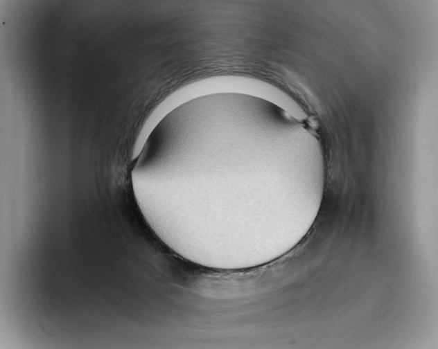 X0000096220025200802151531