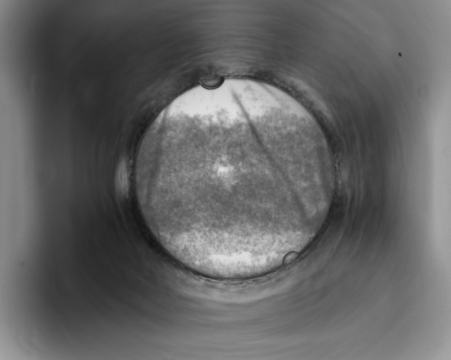 X0000096220026200802151531