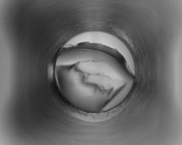 X0000096220027200802151531