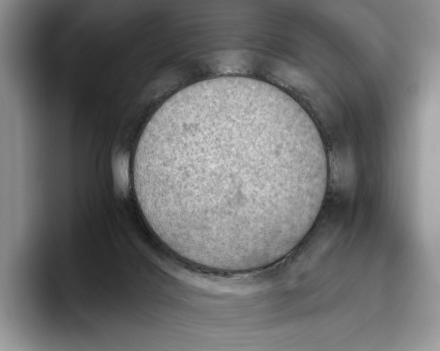 X0000096220028200802151531