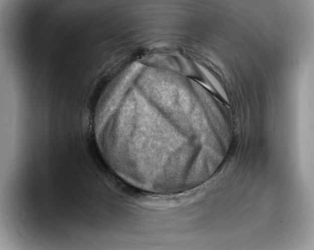 X0000096220029200802151531