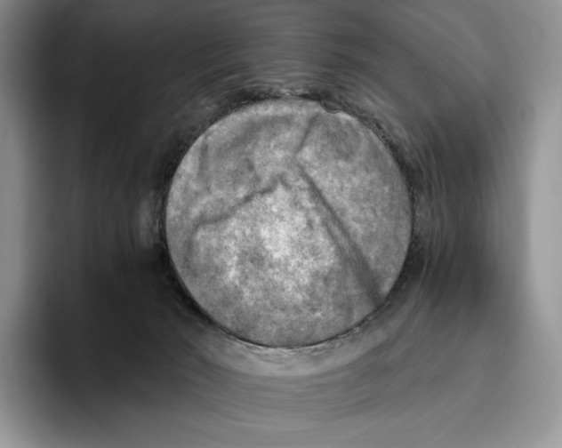 X0000096220030200802151531