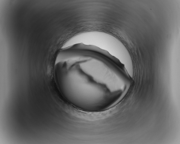 X0000096220031200802151531