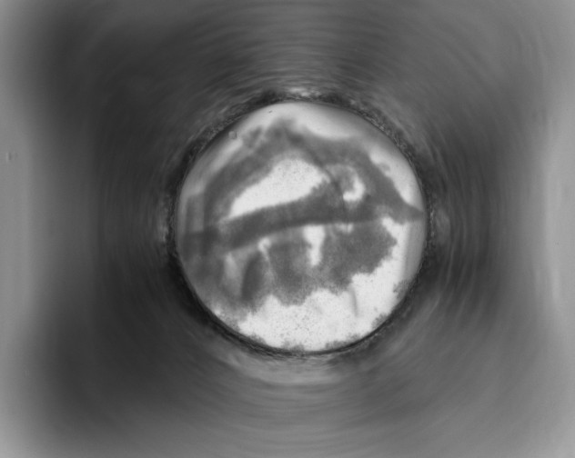 X0000096220032200802151531