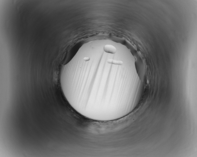 X0000096220033200802151531