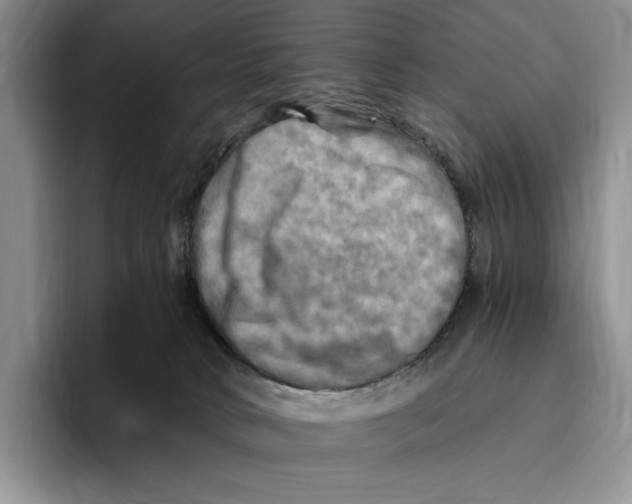 X0000096220034200802151531