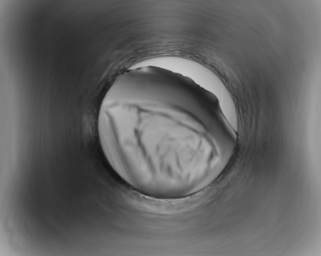 X0000096220035200802151531