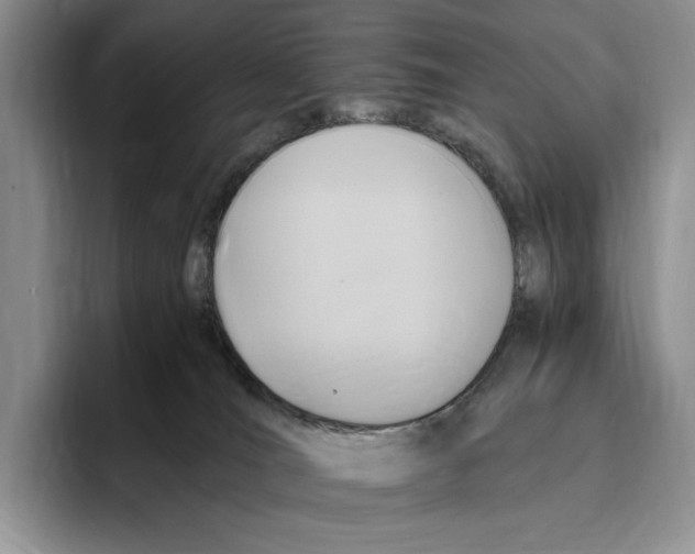 X0000096220036200802151531