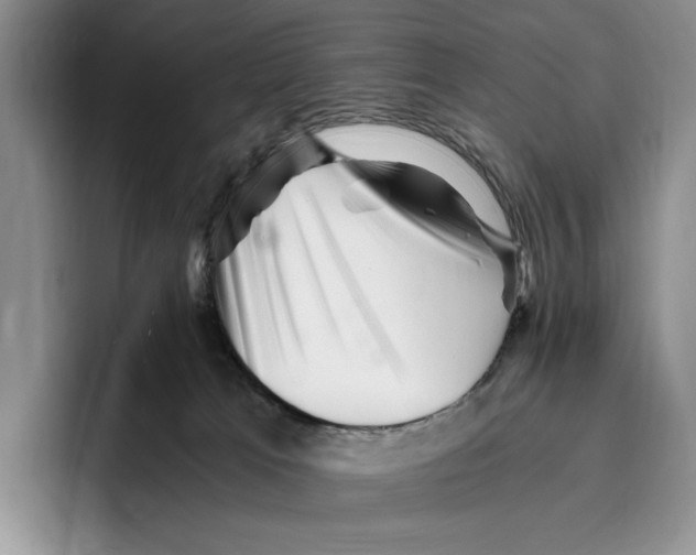 X0000096220037200802151531