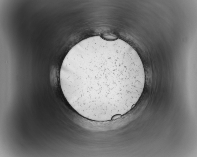 X0000096220038200802151531