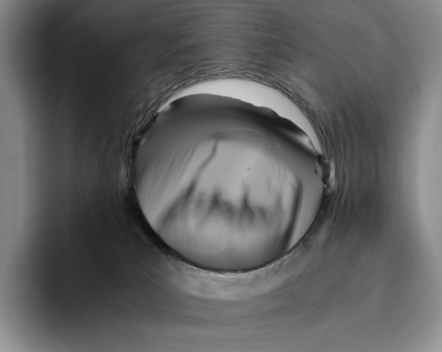 X0000096220039200802151531