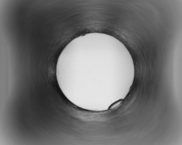 X0000096220040200802151531