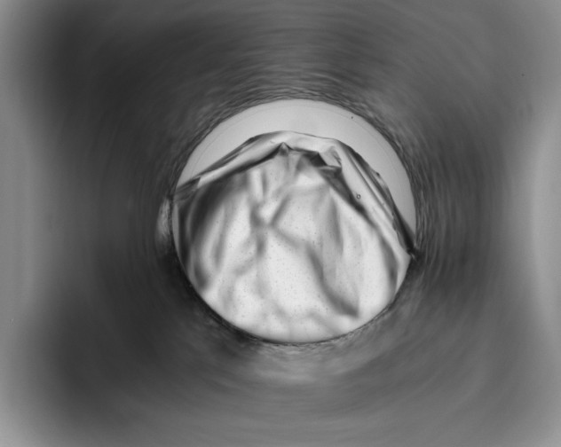 X0000096220041200802151531