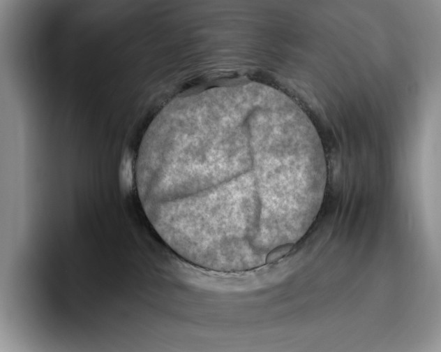 X0000096220042200802151531