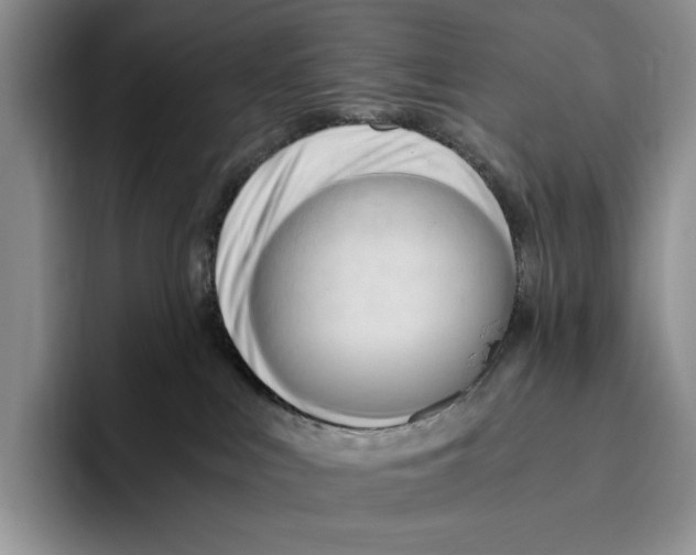 X0000096220043200802151531