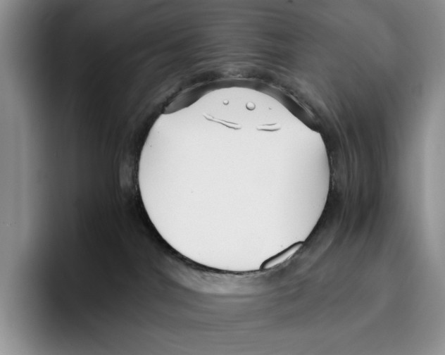 X0000096220044200802151531