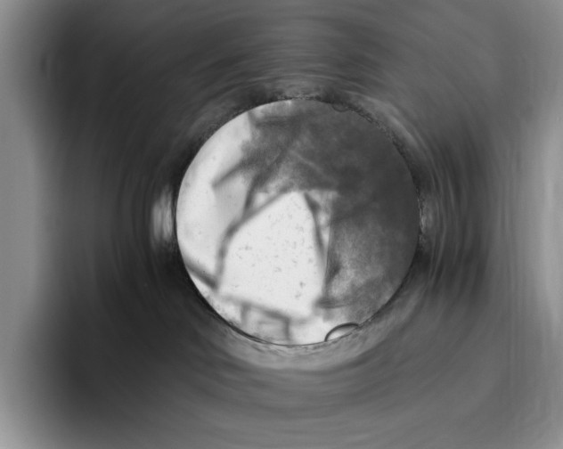 X0000096220046200802151531