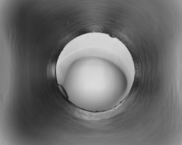 X0000096220047200802151531