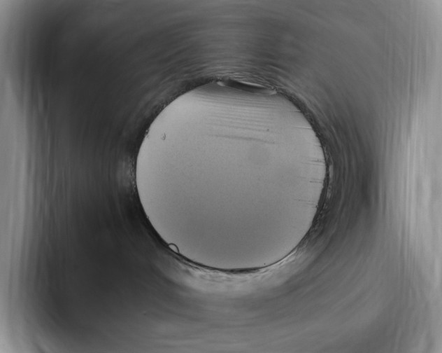 X0000096220048200802151531