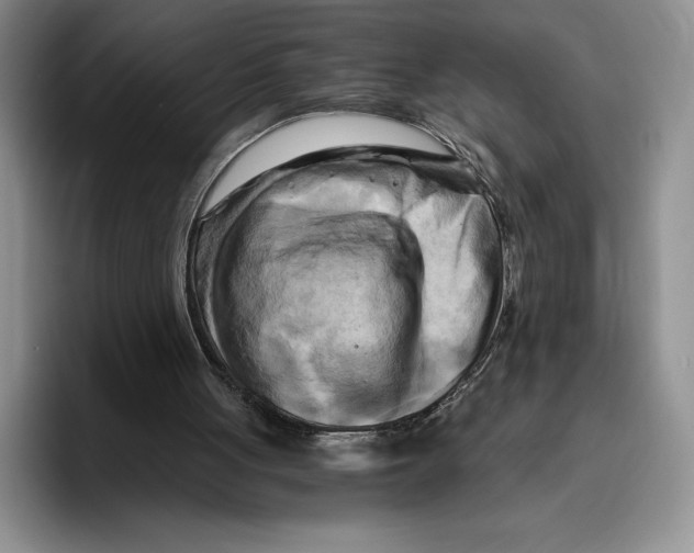 X0000096220051200802151530