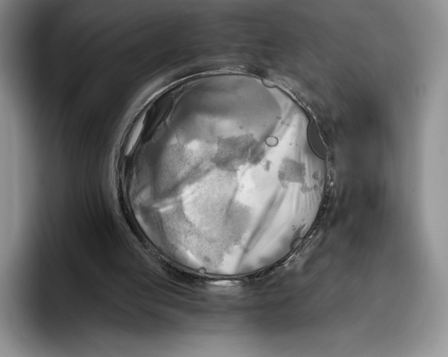 X0000096220053200802151530