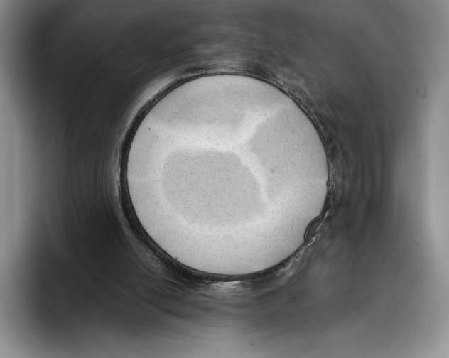 X0000096220054200802151530