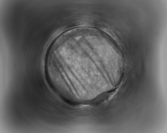 X0000096220055200802151530