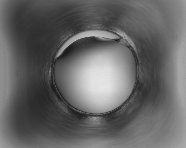 X0000096220057200802151530