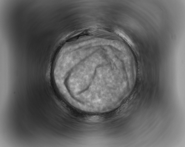 X0000096220058200802151530