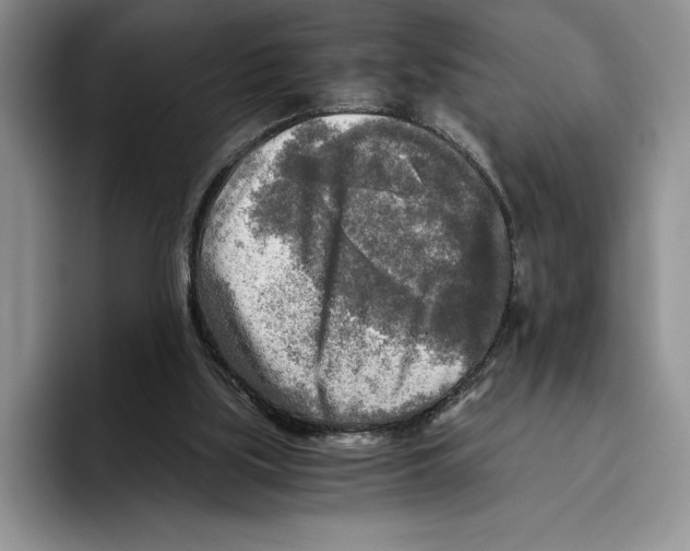 X0000096220059200802151530