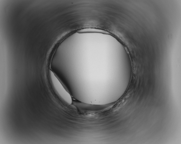 X0000096220060200802151530