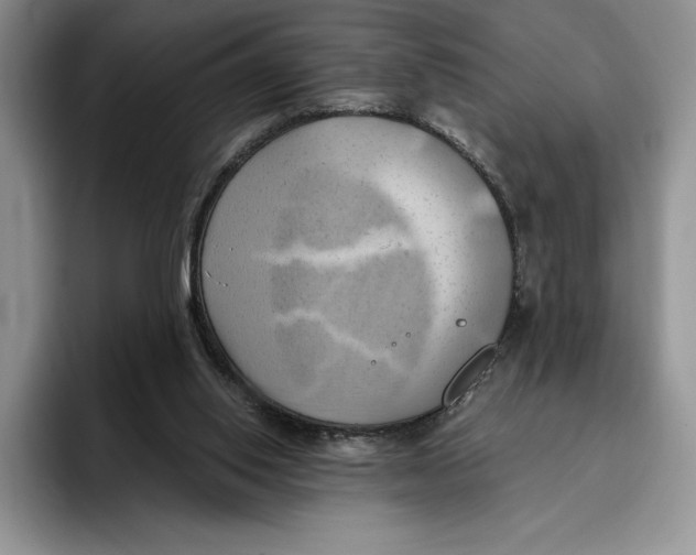 X0000096220062200802151530