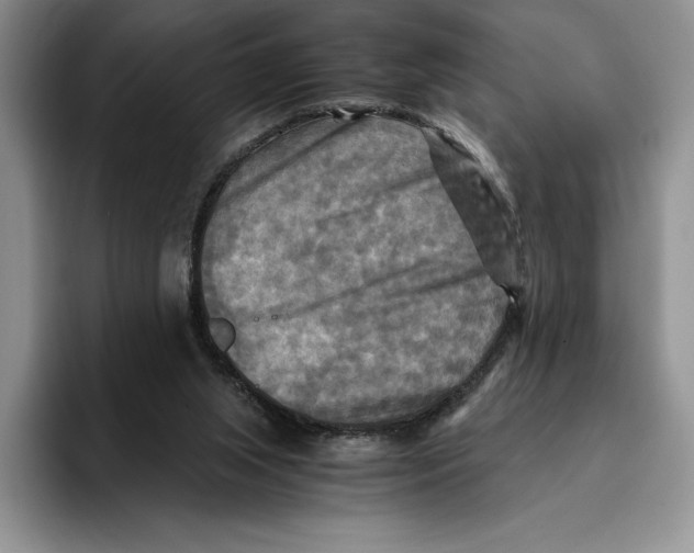 X0000096220063200802151530