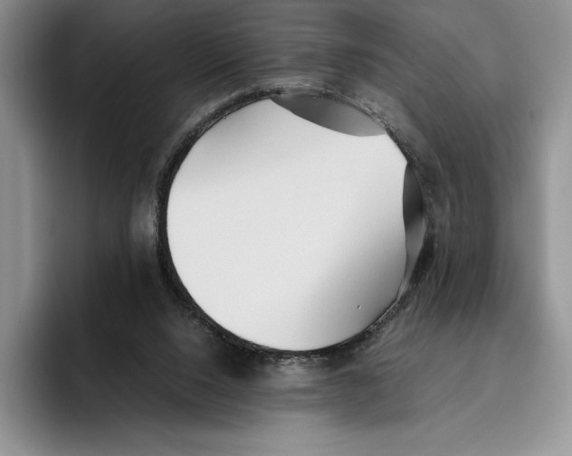 X0000096220064200802151530