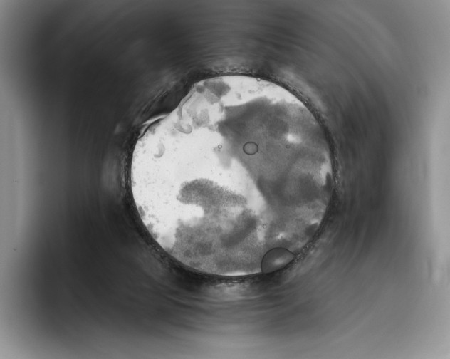 X0000096220065200802151530