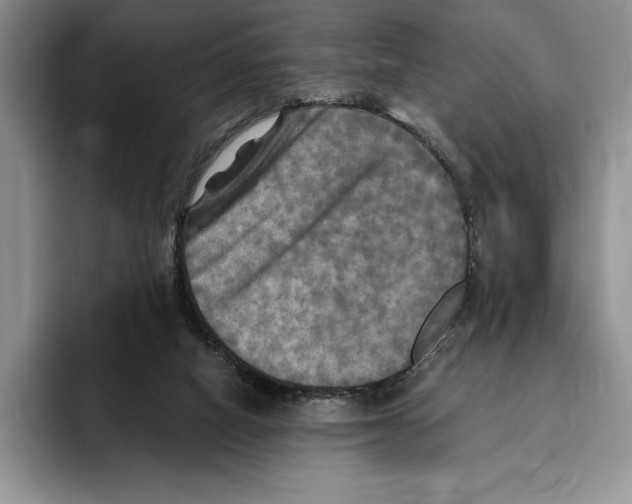 X0000096220066200802151530