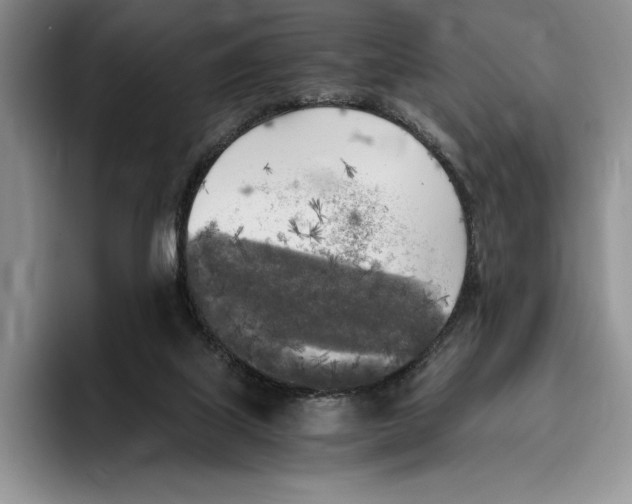 X0000096220067200802151530