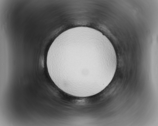 X0000096220068200802151530