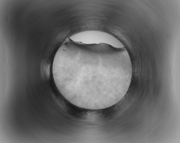 X0000096220070200802151530