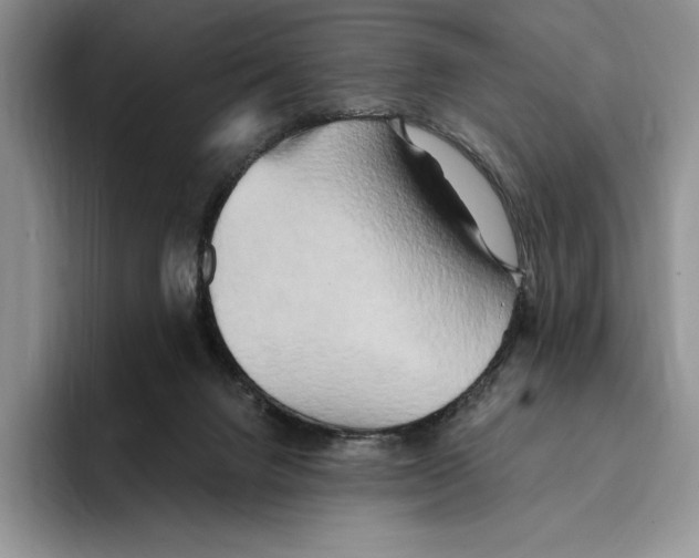 X0000096220072200802151530