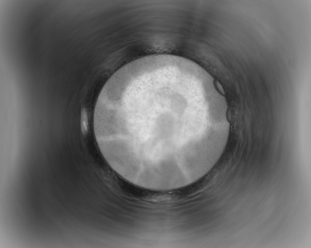 X0000096220075200802151531