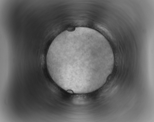 X0000096220077200802151531