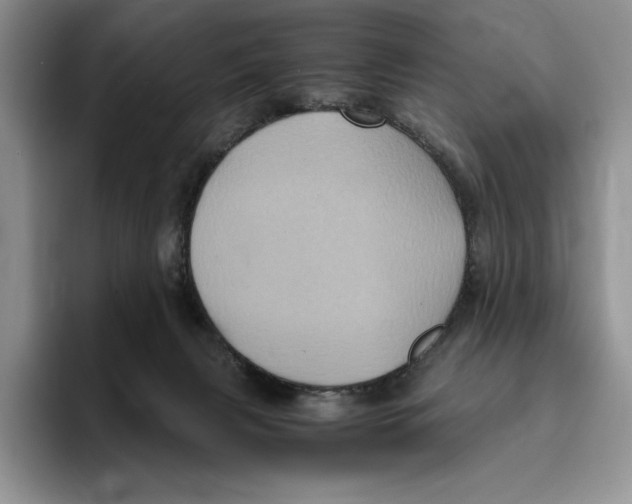 X0000096220079200802151531