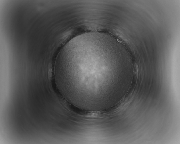 X0000096220080200802151531