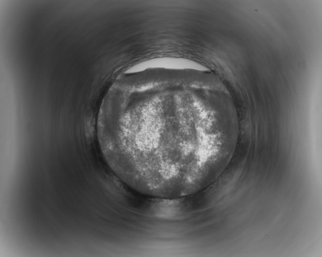 X0000096220081200802151531